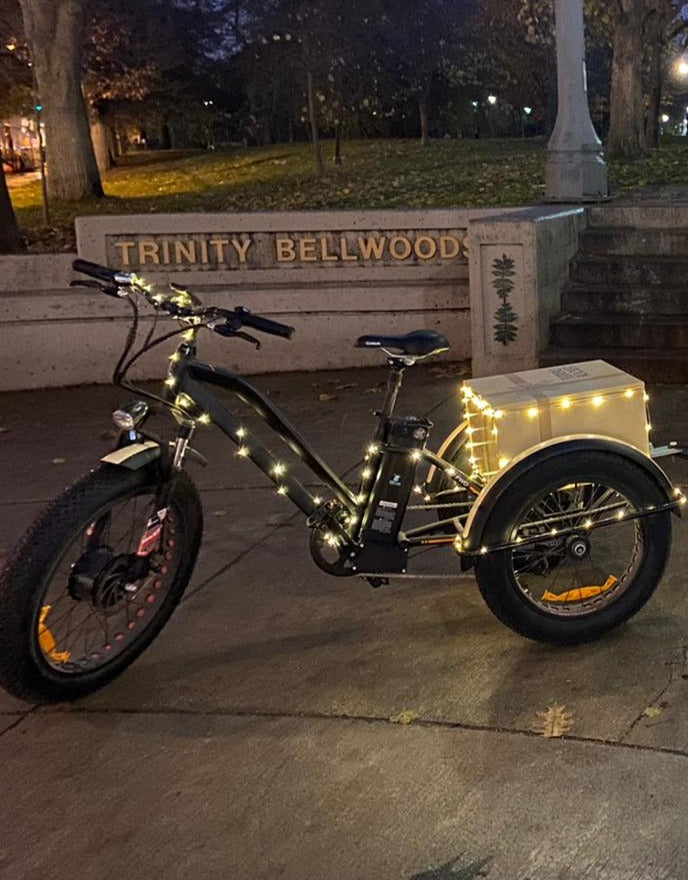 Electric Trike - Buy or rent